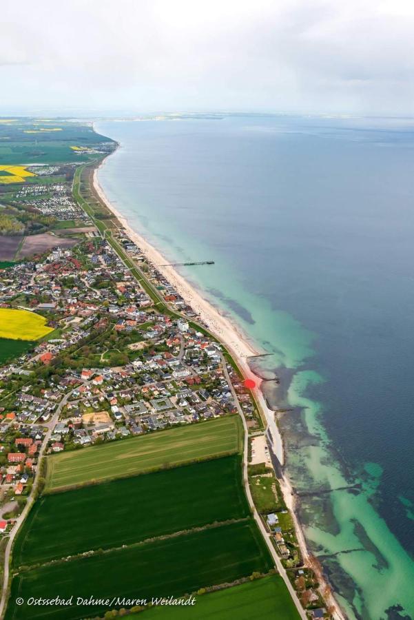 Hagelstein III "Herzmuschel" Dahme (Schleswig-Holstein) Exterior foto